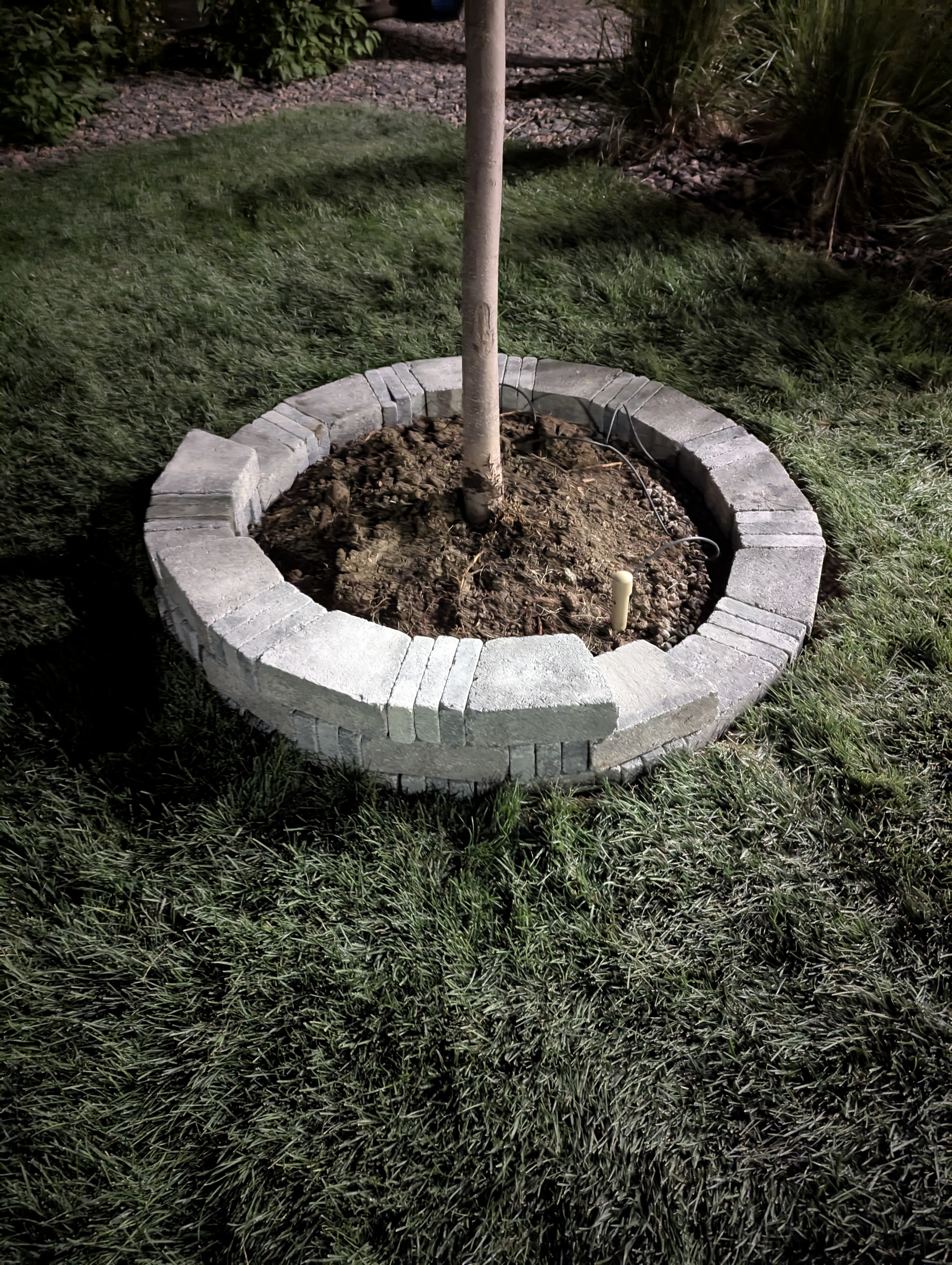 Tree Ring, Home Improvement, Morrison, Colorado
